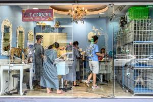 Tienda de mascotas con animales en jaulas