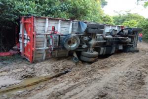 Vehículo transporte de tomate de árbol 