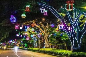 Alumbrado Navideño 2021 Ibagué 