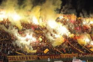 Revolución Vinotinto Sur