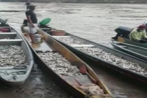 Pescadores Honda