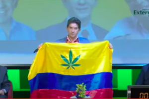 Luis Pérez hoja de cannabis