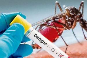Aedes Aegypti, mosquito transmisor del dengue