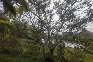 Cercanías a la Hacienda el Escobal