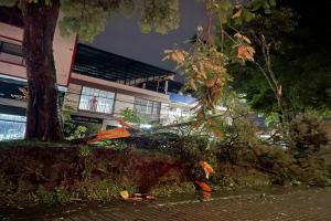 Fuertes lluvias en Ibagué