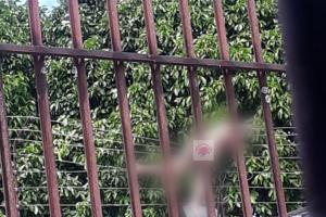 “Me persigue el diablo”: palabras de un interno que murió electrocutado en la cárcel de Chaparral