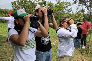 Celebración de avistamiento de aves en Neiva