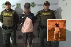 ¡Hasta que por fin! Cogieron sujeto que utilizaba a un perro para atracar en Ibagué