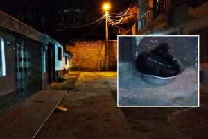 Mujer mató a puñaladas a una perrita, la desmembró, la metió en una bolsa y después la arrastró por el barrio Los Lagos del Salado