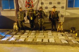 Jefry’, el canino antinarcóticos que detectó 35 kilogramos de marihuana que transportaban en canecas por Cajamarca
