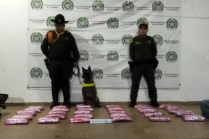 ¡Pilluelos! Incautan 31 kilogramos de marihuana a menores en la Terminal de Honda