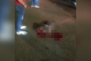 ¡Desalmado! Motociclista arrolló a una perrita cuando participaba de los ‘piques ilegales’ 