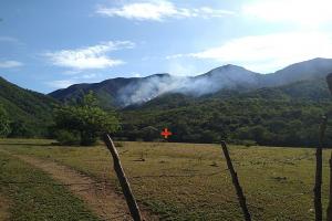 Incendio forestar Coello 