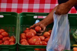 Ibagué Productora agrícola