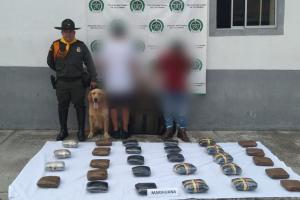 Jeffry detectó 26 mil dosis de marihuana transportadas en un bus intermunicipal a su paso por Cajamarca