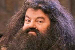 Hagrid - Harry Potter