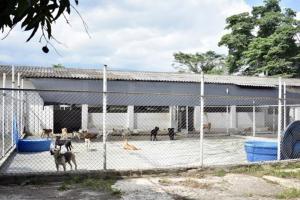 Centro de Antención y Protección Animal CAPA