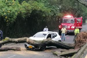 Bomberos atienden situación de árbol caído en la 34 con Guabinal de Ibagué