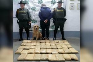¡Qué olfato el de Jeffry! Halló 28 mil dosis de marihuana en equipaje de bodega en Cajamarca