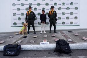¡Esa era Jeffry! Ahora el canino le detectó 15 mil dosis de marihuana a una mujer en la Terminal de Transportes de Ibagué