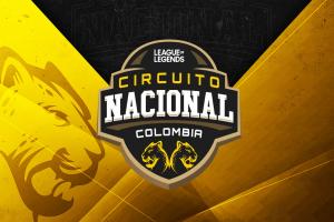 LigaVideojugadoresProfesional