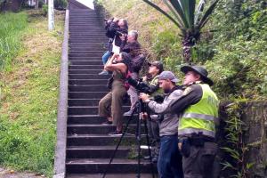 Pajariada Parque Centenario