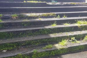 Coliseo Menor. Aún no comienzan las obras. Solo hay un cerramiento.