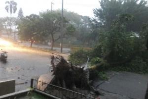 Afectación por lluvias en Ibagué
