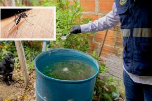 Dengue Huila