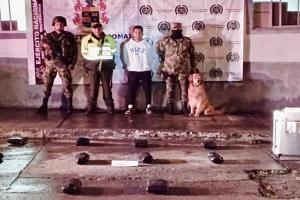 Ejército incautó 10 mil dosis de marihuana en el Tolima