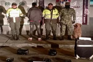 Cayó venezolano con más de 12 kilogramos de marihuana, avaluada en casi $19 millones en su equipaje