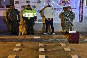 ¡Killer lo olfateó! Canino del Ejército halló 11 kilogramos de marihuana a pasajero en Cajamarca