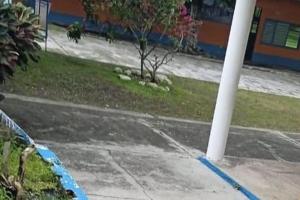 Dos jóvenes fueron víctimas de intento de sicariato en el barrio La Ermita de Mariquita