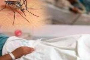 Imputaron cargos a tres médicos y una enfermera por dejar morir a un paciente con dengue en Ibagué