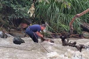 Hallan cuerpo sin vida de un hombre en el río Combeima, sector barrio Santofimio