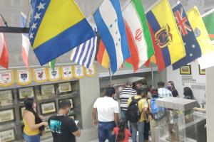 Museo Lineal