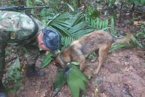 Rescate niños Caquetá 