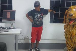 Capturado exhibicionista 