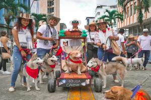 Festival Sampedrino de Mascotas