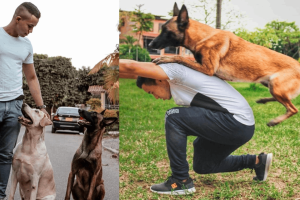 Adiestrador canino Cristian Rodríguez