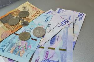 Ingreso Solidario