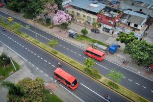 Carrera Quinta de Ibagué