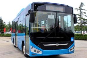 Sistema Estratégico de Transporte Público, Transmusical