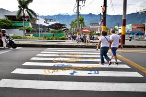 Paso peatonal carrera Quinta