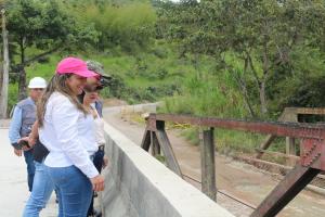 Vía Chaparral - Rioblanco