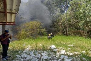 Incendio forestal en La Gaviota