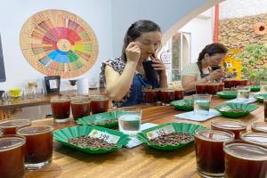 Ibagué Café Festival