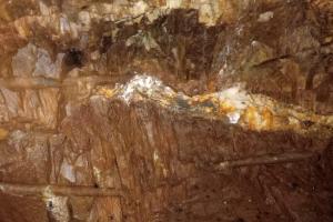 Explotación ilícita Falan