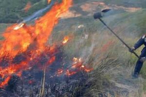 Incendios forestales