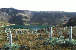Parque Nacional Natural de Los Nevados
